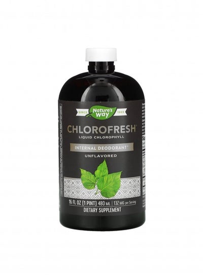 Buy Nature's Way Unflavored Liquid Chlorophyll 480 ml in Saudi Arabia