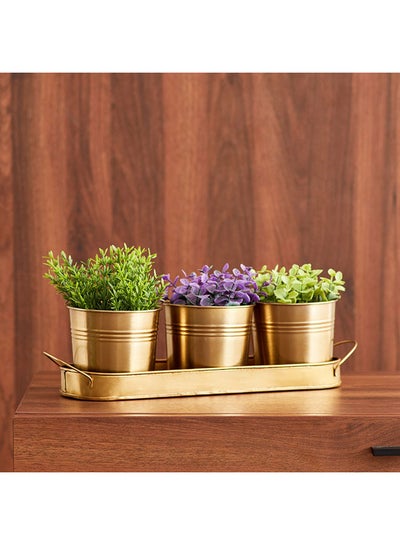 Buy 4-Piece Ace Metal Planter Set With Tray 38x5x11 cm in UAE