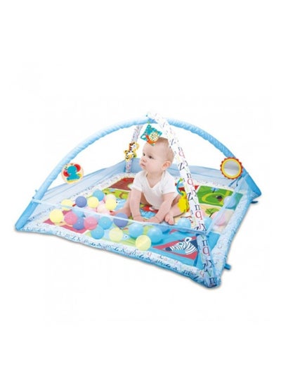 Buy Baby Gym Activity Play Mat & Ball Pit in Saudi Arabia