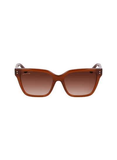 Buy FULL RIM ACETATE MODIFIED RECTANGLE LACOSTE SUNS L6022S  5418 (210) BROWN in UAE