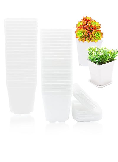 Buy Plastic Nursery Seedling Pots, 48 Pack Square Plants Nursery Pot, Square Plastic Plant Pots with Drainage Holes and Saucers, for Balcony, Pot Transplant, Garden, Home Decor, Outdoor(White) in UAE