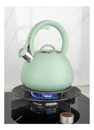 Buy Cuisine Art JURA Stainless Steel Whistling Tea Kettle 3.0L, Green, 201 Stainless Steel, Nylon Handle, Soft Touch Coating, Fast Boiling, 18/0 Single Bottom, Suitable for use on all stove tops in UAE