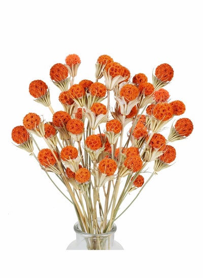 Buy 40 Pcs Fall Dried Flower Craspedia Billy Button Balls Flowers Orange Bulk For Autumn Home Vase Kitchen Diy Wedding Table Decor in Saudi Arabia