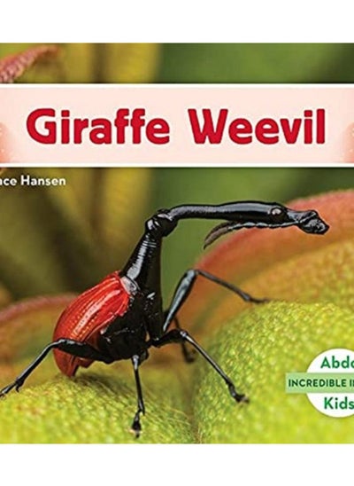 Buy Incredible Insects: Giraffe Weevil in UAE