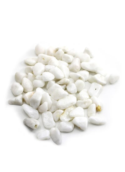 Buy Fun Decorative White Stones - 300g in a Drum in UAE