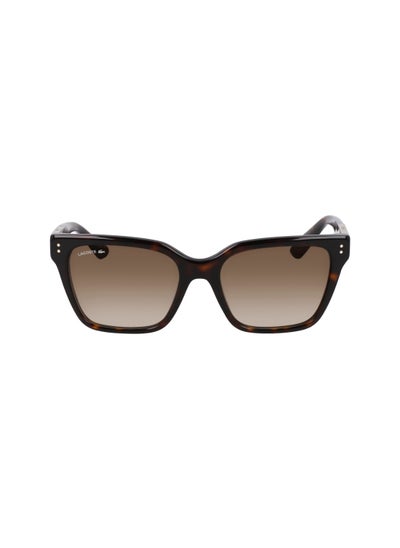 Buy FULL RIM ACETATE MODIFIED RECTANGLE LACOSTE SUNS L6022S  5418 (230) DARK HAVANA in UAE