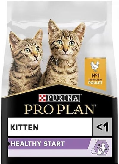 Buy proplan kitten dry food 10kg in UAE