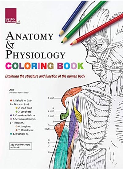 Buy Anatomy  and Physiology Colouring Book Exploring The Structure  and Function Of The Human Body in UAE