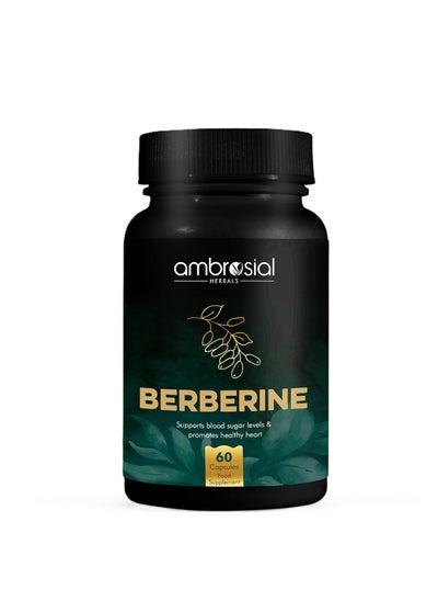 Buy Berberine 500 Mg 60 Pcs Support Blood Sugar Level in Saudi Arabia