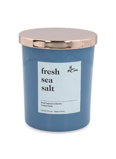 Buy Home Fragrance Collection Fresh Sea Salt Scented Glass Jar Candle White 14 oz C020301476-F in Saudi Arabia