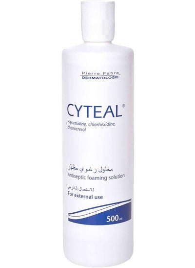 Buy Antiseptic Foaming Solution 500ml in UAE