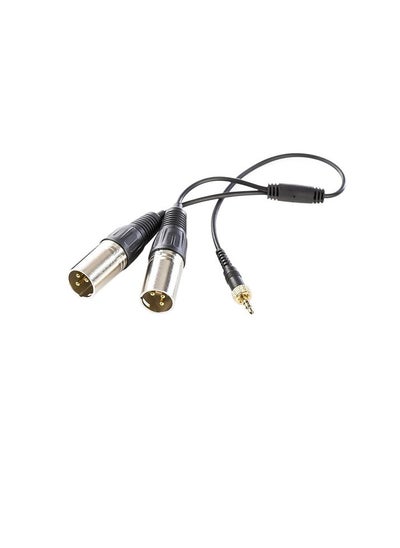 اشتري Saramonic SR-UM10-CC1 Output cable for stereo XLR output {lock-type} في مصر