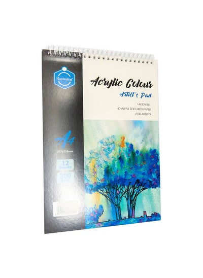 Buy Acrylic Paint A4 Sketch Book -12 Pages in Egypt