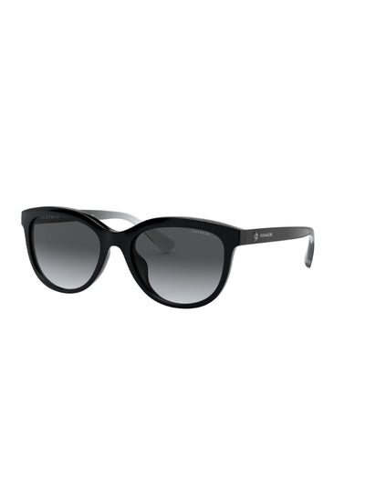 اشتري Men's Aviator Sunglasses - 0HC7136 -  Lens Size: 60 mm في الامارات