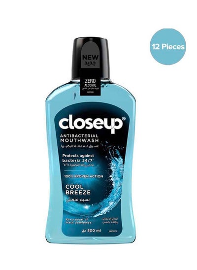 Buy Cool Breeze Mouthwash 12 Pieces 500ml in Saudi Arabia