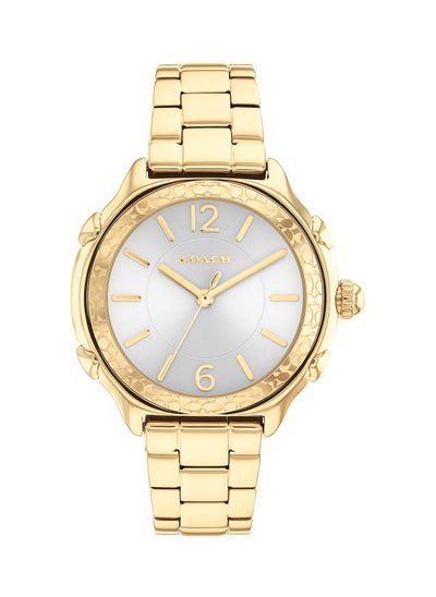 اشتري Women's Suzie Grey Dial Watch - 14503904 في الامارات