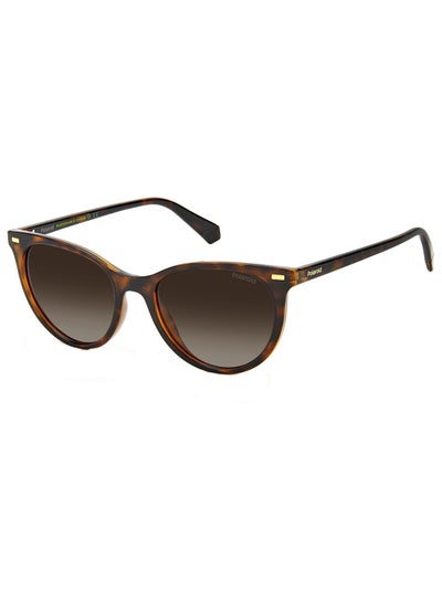Buy Women Cat Eye Sunglasses PLD 4107/S  HVN 52 in UAE