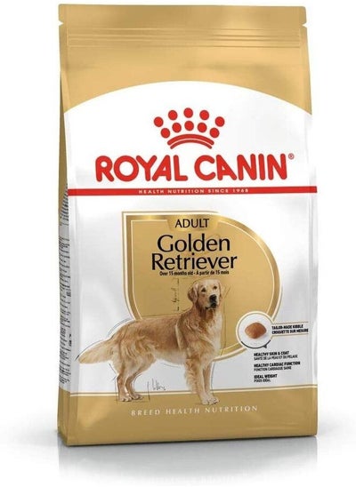 Buy Golden Retriever Adult in UAE