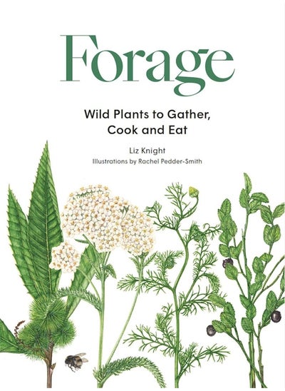 اشتري Forage: Wild plants to gather and eat في الامارات