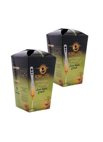 Buy Natural Pure Mint Honey 20 Spoons in UAE