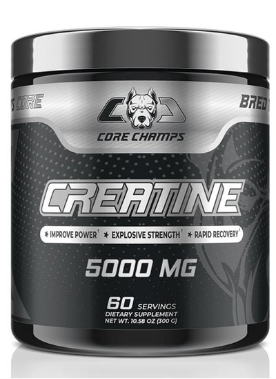 Buy Creatine 5000 MG 60 Servings 300 Grams in UAE