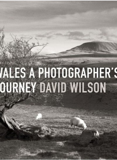 Buy Wales: A Photographer's Journey in Saudi Arabia