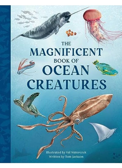 Buy Magnificent Book Of Ocean Creatures in UAE