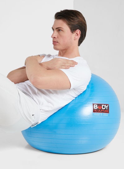 Buy 26" Anti-Burst Gymball/Blu-1000Gm P3 in UAE