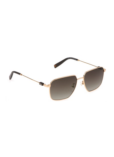 Buy Unisex Square Shape  Stainless steel Sunglasses SFI457 55300Y - Lens Size: 55 Mm - Shiny Rose Gold in UAE