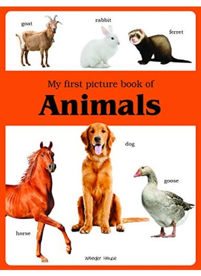 Buy My first picture book of Animals: Picture Books for Children in UAE