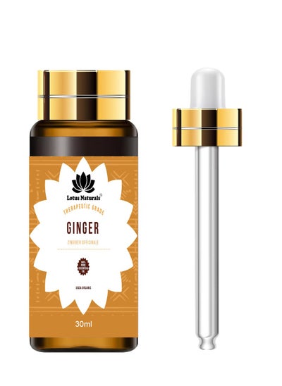 Buy Ginger Essential Oil 100% Pure Natural Therapeutic Grade For Soap, Body, Skin, Hair, Diffuser and Candle in Egypt