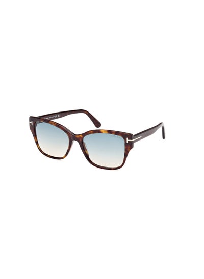 اشتري Women's Butterfly Shape Acetate Sunglasses FT110852P55 Lens Size: 55 Millimeter - Dark Havana في الامارات