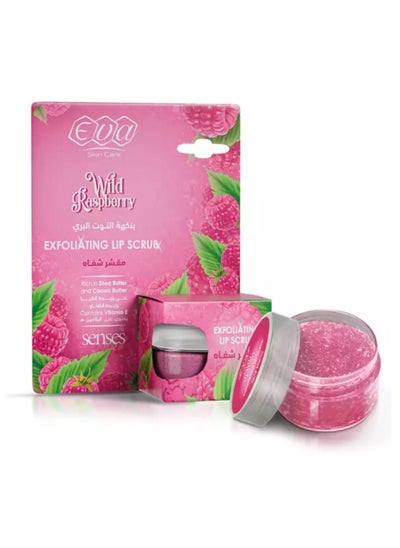 Buy SKIN CARE EXFOLIATING LIP SCRUB RASPBERRY FLAVORED 20 GM in Egypt