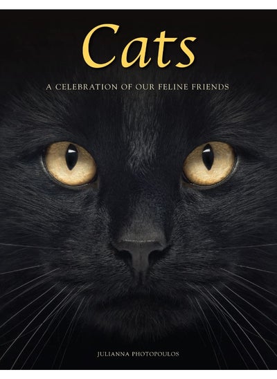 Buy Cats: A Celebration of our Feline Friends in UAE