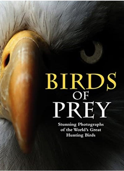 اشتري Birds of Prey : Stunning Photographs of the World's Great Hunting Birds في الامارات