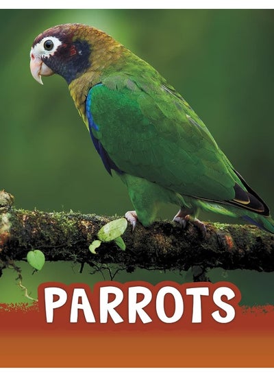 اشتري Parrots في الامارات