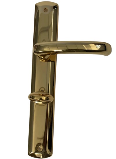 Buy Remo Bathroom Door Handle in Egypt