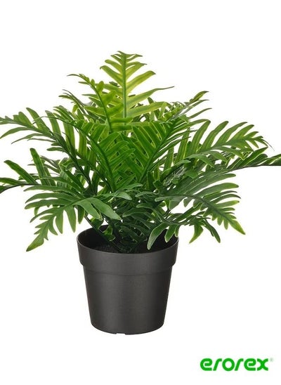 Buy Artificial potted plant in outdoor Whitley Giant 9 cm in Saudi Arabia