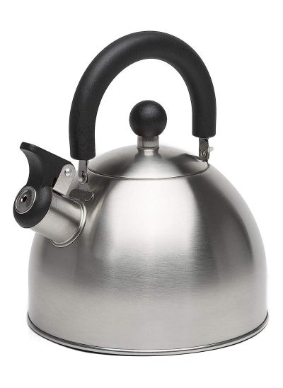 اشتري Tea Kettle, Stainless Steel Teapot with Heat-resistant Handle, Whistling Stovetop for Home في الامارات