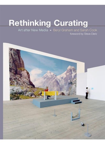 Buy Rethinking Curating : Art after New Media in UAE