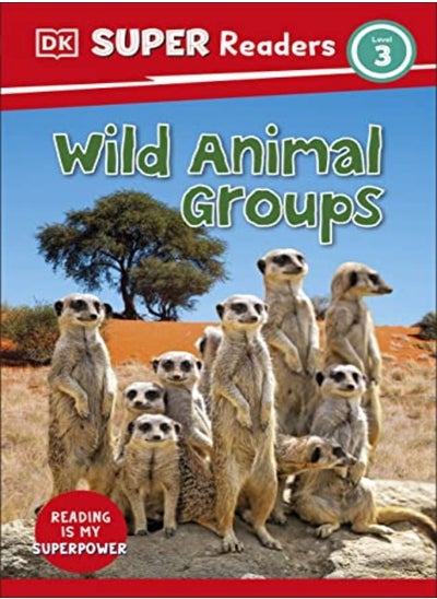 اشتري Animal Groups by  DK Paperback في الامارات