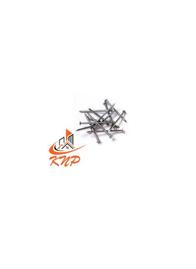 Buy KNP Common Wire Nail 25mm (1") 120grams in UAE