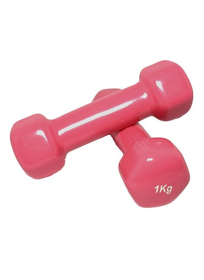 Buy Set Of Dumbbells 2x1 Kg 1kg in Saudi Arabia