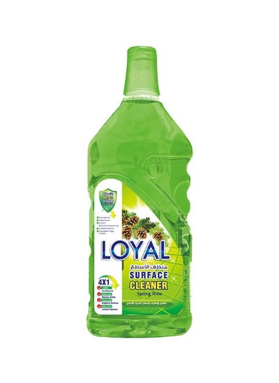 Buy Surface Cleaner Liquid/Spring Time/Green/800ml/Pack of 1 in UAE