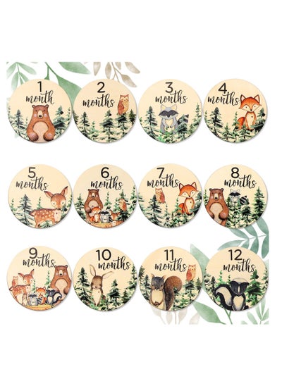 اشتري Woodland Baby Monthly Milestone 12Pcs Wooden Newborn Welcome Discs Sign Round New Baby Sign Double Sided Cute Animal Printed Baby's First Year Age Announcement for Boys Girls Photo Prop Baby Shower في الامارات