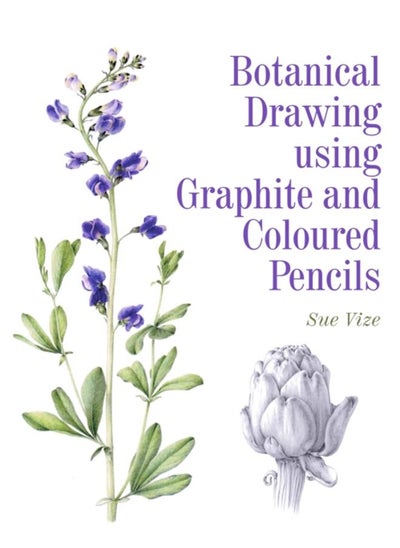 Buy Botanical Drawing using Graphite and Coloured Pencils in UAE