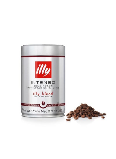 Buy Illy Intenso Bold Roast Coffee Beans 250g in UAE