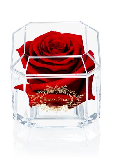 Buy Eternal Petals,  A 100% Real Rose That Lasts Years - Gold Solo (Deep Red) in UAE