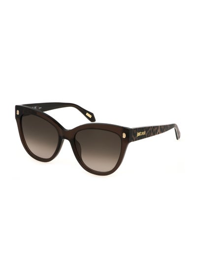 اشتري Women's Butterfly Shape  Acetate Sunglasses SJC043 550AAK - Lens Size: 55 Mm - Shiny Transp.Brown في الامارات