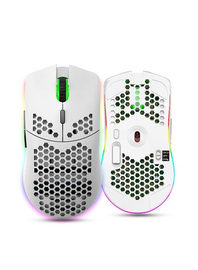 اشتري T66 RGB 2.4G Wireless Gaming Mouse RGB Lighting Charging Mouse with Adjustable DPI Ergonomic Design for Desktop Laptop White في السعودية